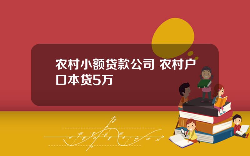 农村小额贷款公司 农村户口本贷5万